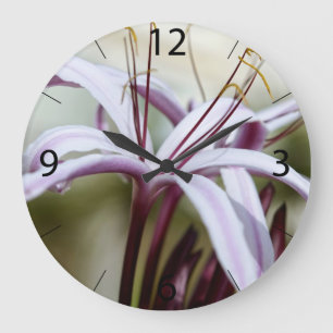 Grande Horloge Ronde Fleur de lys rose pâle, art photo botanique