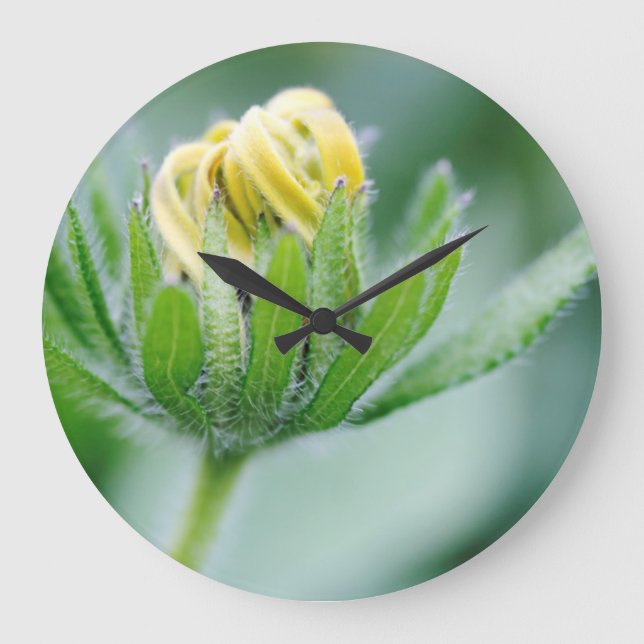 Grande Horloge Ronde Fleur D'Ouverture De La Fleur De Cône (Recto)