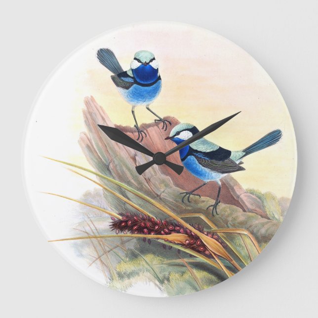 Grande Horloge Ronde Fleurs bleues d'animaux de faune d'oiseaux de (Recto)