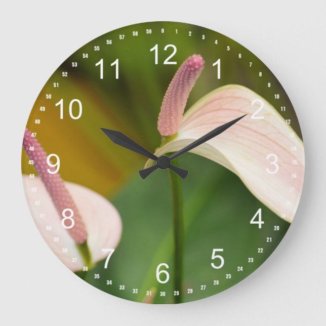 Grande Horloge Ronde Fleurs d'anthurium rose Kauai Hawaii (Recto)