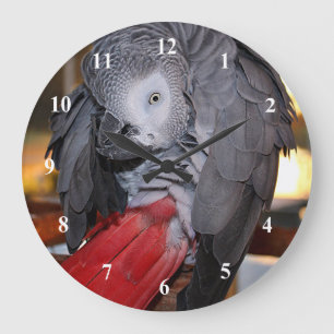Grande Horloge Ronde Flexible Congo perroquet gris africain avec queue 