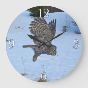 Grande Horloge Ronde Flying Great Grey Owl Faune Photo Portrait I