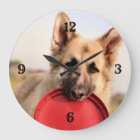 Frisbee