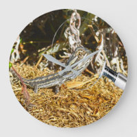 Funny Baby Bearded Dragon