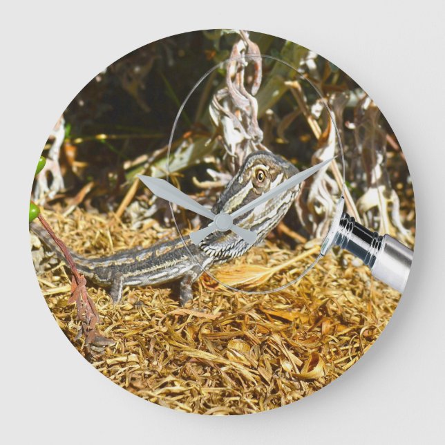 Grande Horloge Ronde Funny Baby Bearded Dragon (Recto)