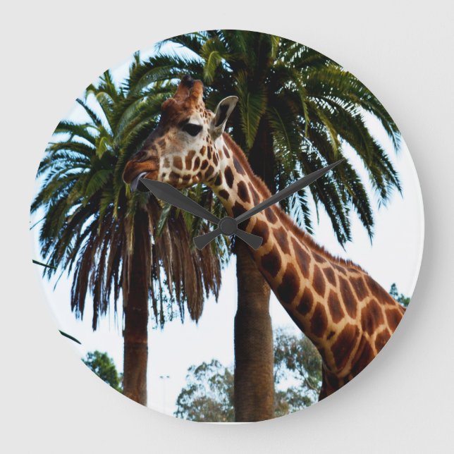 Grande Horloge Ronde Funyy Giraffe Poking Out Tongue, (Recto)