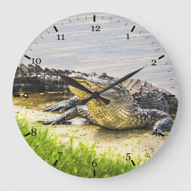 Grande Horloge Ronde Gator (Recto)