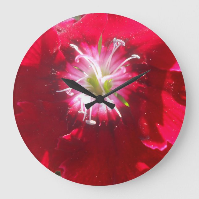 Grande Horloge Ronde Geertje (Recto)