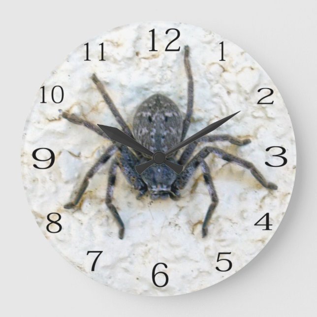 Grande Horloge Ronde Grand Araignée Femme, (Recto)