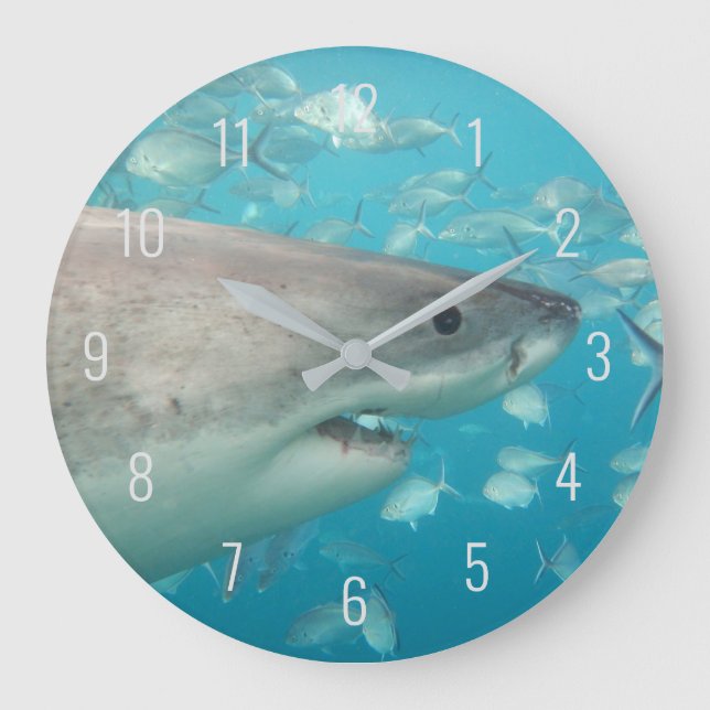 Grande Horloge Ronde Grand requin blanc près sous l'eau Australie La (Recto)