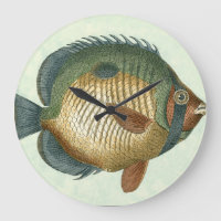 Grands poissons colorés
