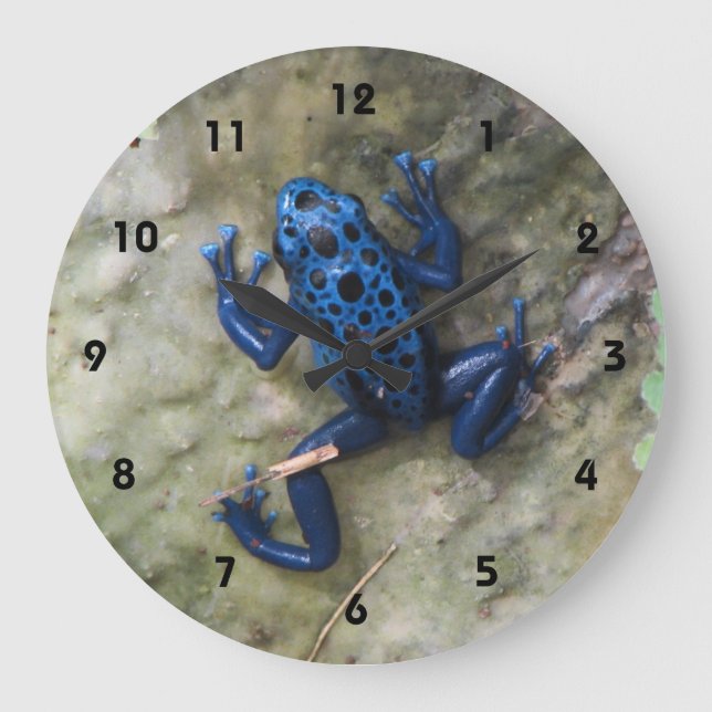 Grande Horloge Ronde Grenouille à tarte à poison bleu (Recto)