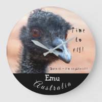 Gros plan drôle d'un Emu en Australie