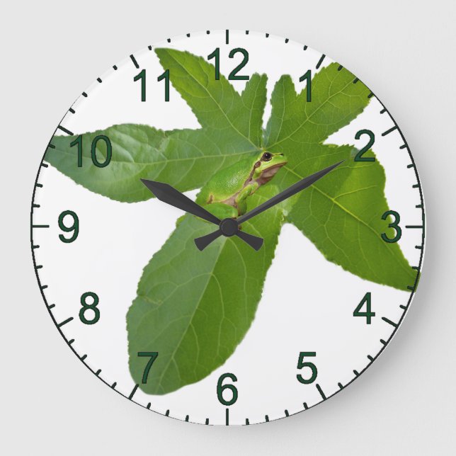 Grande Horloge Ronde "Havre de feuilles : une petite grenouille verte s (Recto)
