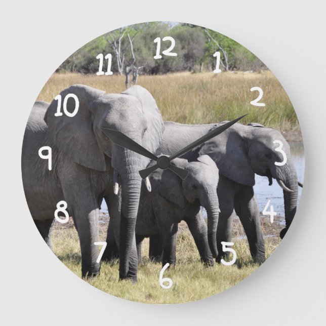Grande Horloge Ronde Herbes d'éléphants d'Afrique (Recto)