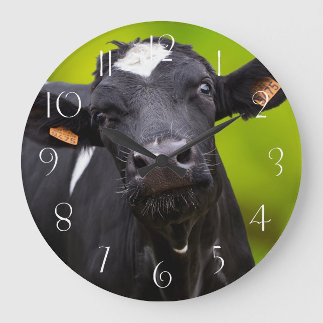 Grande Horloge Ronde Holstein (Recto)
