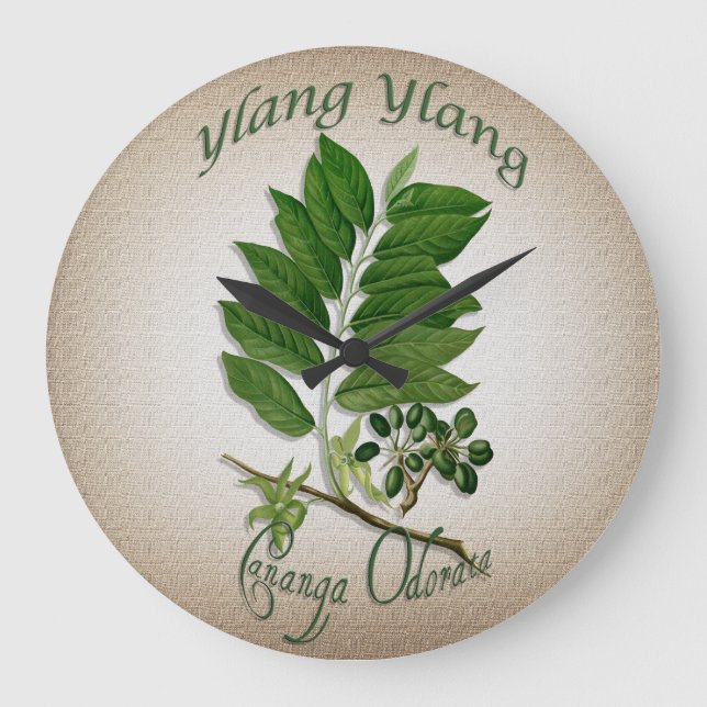 Grande Horloge Ronde Horaire de thérapie aromatique Ylang-Ylang (Recto)