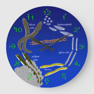 Grande Horloge Ronde [Horloge] anguilles au pays des merveilles