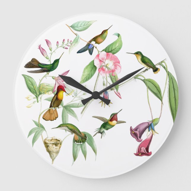 Grande Horloge Ronde Hummingbirds Fleurs Oiseaux Faune Animaux Floraux (Recto)
