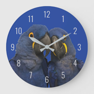 Grande Horloge Ronde Hyacinth Macaw