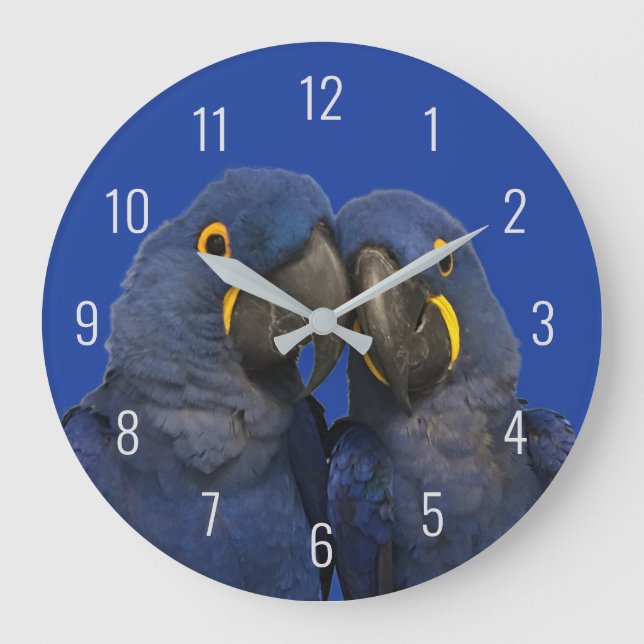 Grande Horloge Ronde Hyacinth Macaw (Recto)
