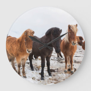 Grande Horloge Ronde Icelandic Horse during winter on Iceland
