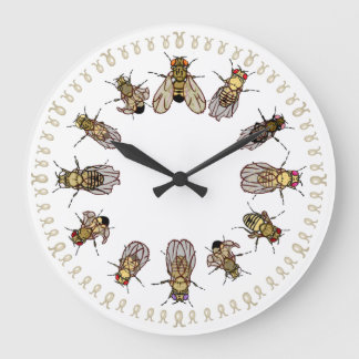 Grande Horloge Ronde Il est temps de trier Drosophila !