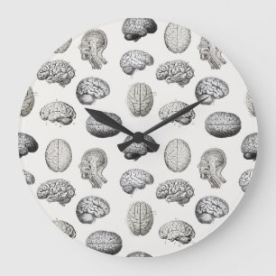 Grande Horloge Ronde Illustrations d'anatomie cérébrale vintage de biol