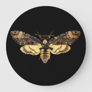 Grande Horloge Ronde insecte papillon papillon de la tête de mort afri