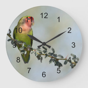 Grande Horloge Ronde inséparable à visage rose sur une branche