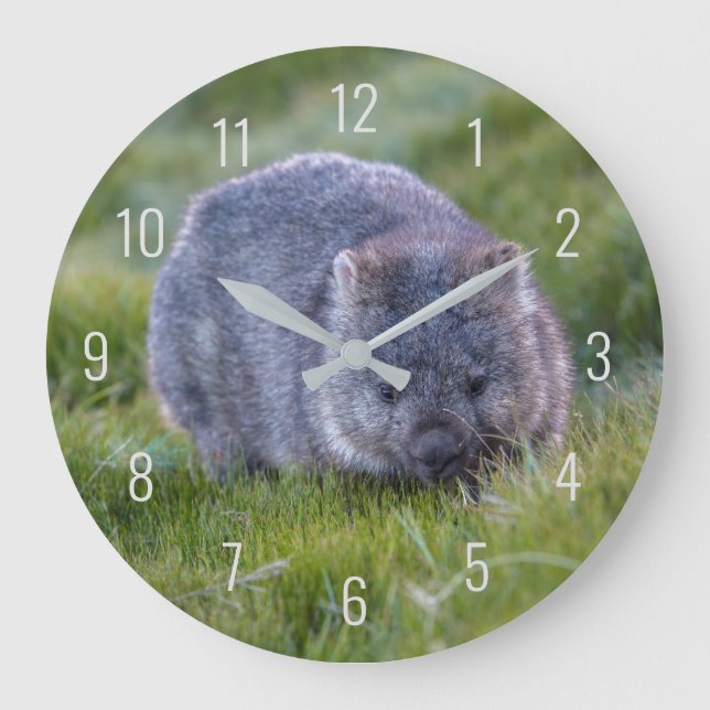 Grande Horloge Ronde Joli wombat faune Australie vert (Recto)