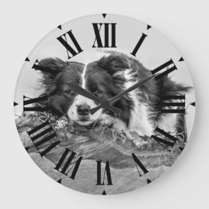Grande Horloge Ronde Jolie Bordure Collie Chien