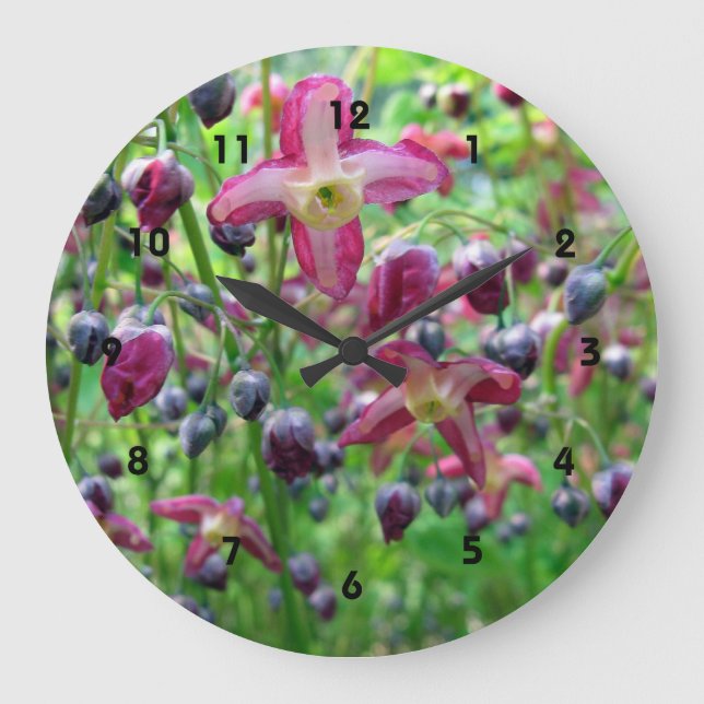 Grande Horloge Ronde Jolie Epimedium (Fairy Wings) Printemps (Recto)