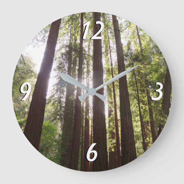 Grande Horloge Ronde Jusqu'aux séquoias du matin (Recto)