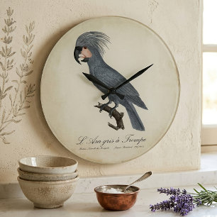 Grande Horloge Ronde L’Ara gris à Trompe / Cockatoo Palm gris