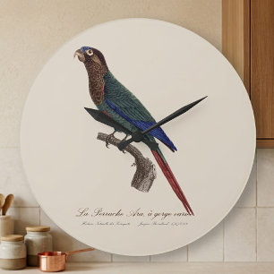 Grande Horloge Ronde La Perruche Ara, une gorge variée