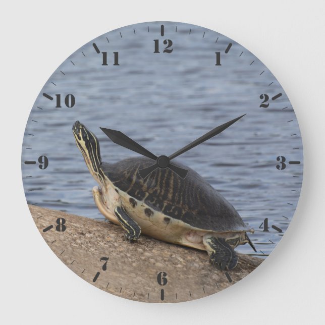 Grande Horloge Ronde La tortue à ventre jaune (Recto)