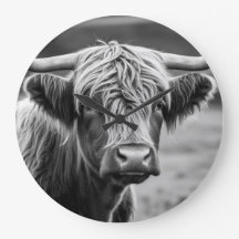 La vache des Highlands