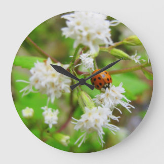 Grande Horloge Ronde Ladybug