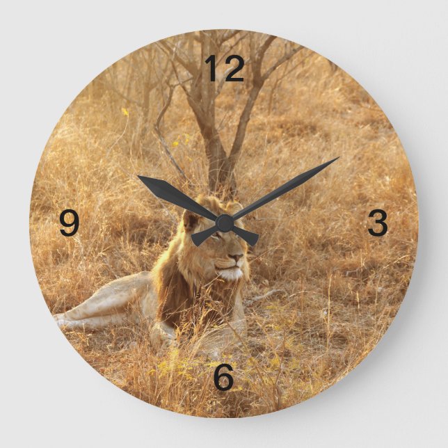 Grande Horloge Ronde Lion (Recto)