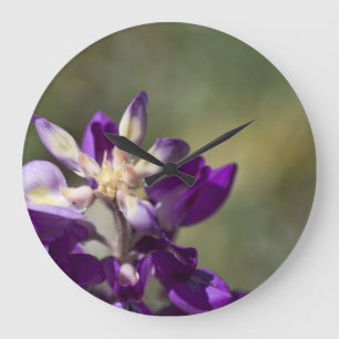 Grande Horloge Ronde Lupine