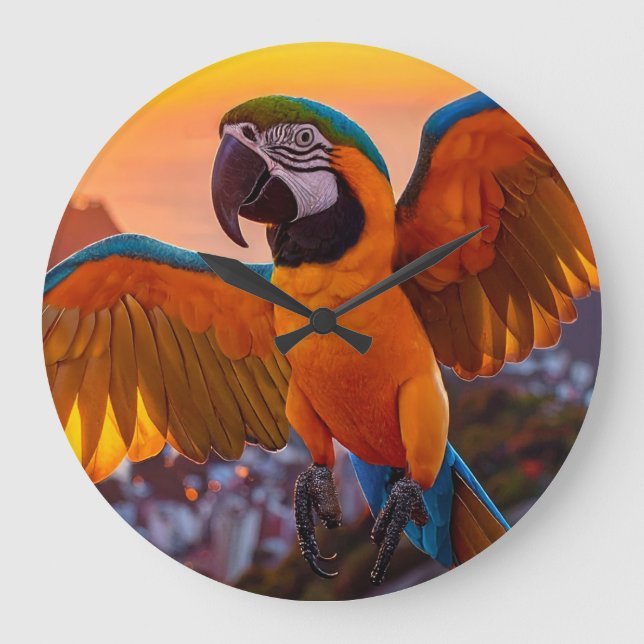 Grande Horloge Ronde Macaw (Recto)
