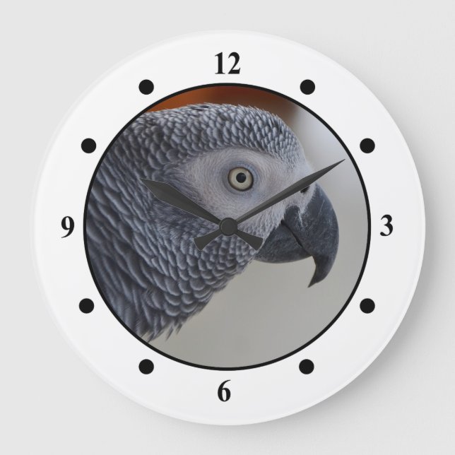 Grande Horloge Ronde Majestic African Grey Parrot (Recto)