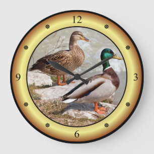 Grande Horloge Ronde Mallards ~ Canards sauvages ~ Anas platyrhynchos ~