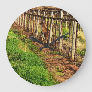 Grande Horloge Ronde Maman et Joey Kangourou se cachant dans les vignes