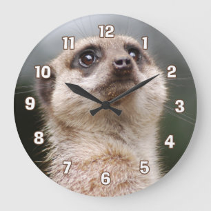 Grande Horloge Ronde Meerkat Wall
