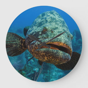 Grande Horloge Ronde Mérou géant de l'Atlantique
