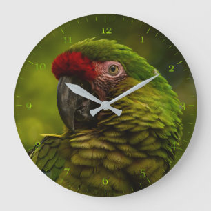 Grande Horloge Ronde Militaire Macaw Green Parrot