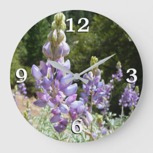 Grande Horloge Ronde Mont Lupins
