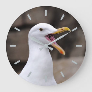 GRANDE HORLOGE RONDE MOUETTE DRÔLE